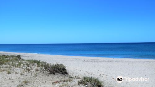 Playa San Miguel