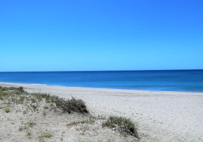 Playa San Miguel