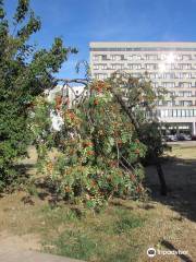 Belarusian State Academic Musical Theater