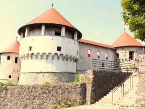 Žužemberk castle