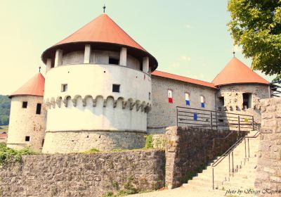 Chateau de Zuzemberk