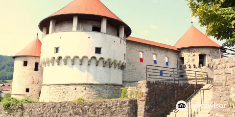 Chateau de Zuzemberk