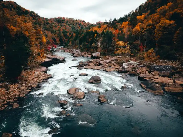 Các khách sạn ở Nicholas County