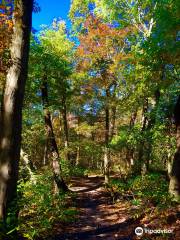 Cheesequake State Park