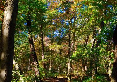 Cheesequake State Park