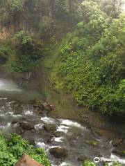 La Paz Waterfall and Peace Lodge Gardens