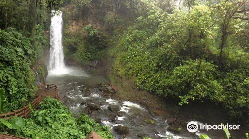 La Paz Waterfall and Peace Lodge Gardens