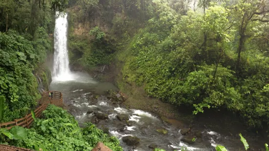 La Paz Waterfall and Peace Lodge Gardens