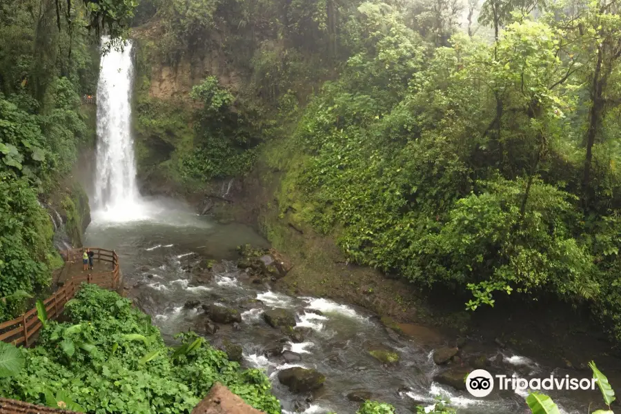 La Paz Waterfall and Peace Lodge Gardens