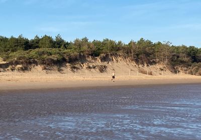 Holme Dunes National Nature Reserve