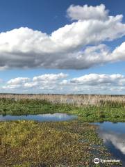 Lake Apopka Wildlife Trail