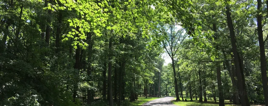 Roosevelt Park