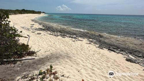 Malcolm's Road Beach