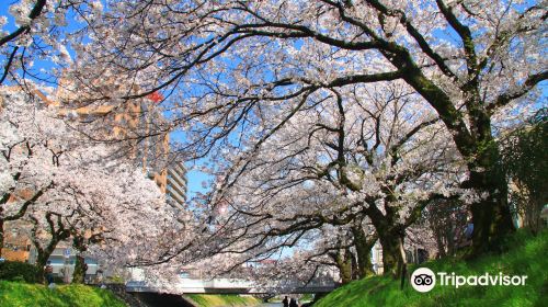 Matsukawa Park