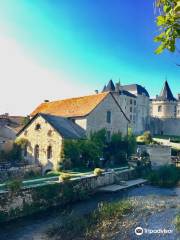 Castle de Verteuil