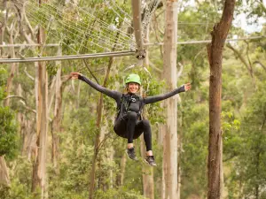 Live Wire Park