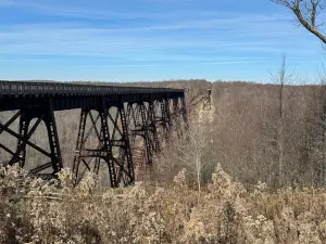 Kinzua Bridge State Park