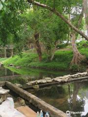 Hin Dad Hot Spring