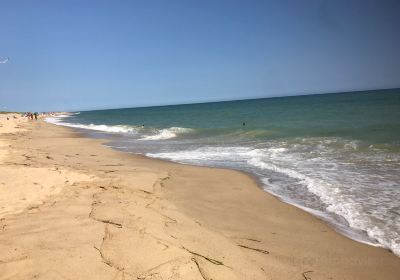 Long Point Wildlife Refuge