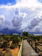 Australian Arid Lands Botanic Garden