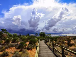 Australian Arid Lands Botanic Garden