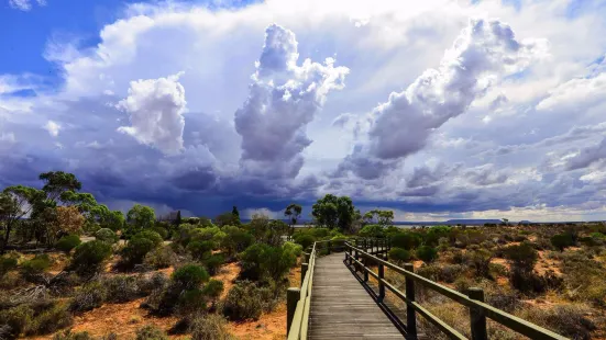 Australian Arid Lands Botanic Garden