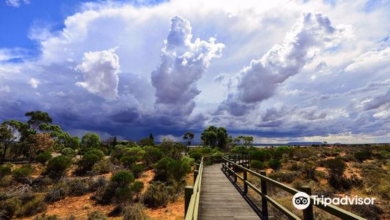 Australian Arid Lands Botanic Garden