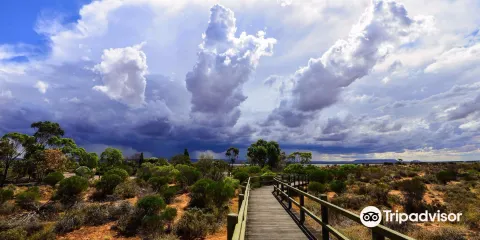 澳大利亞旱地植物園