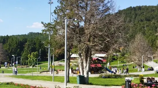 Bağbaşı Yaylası Ve Teleferik