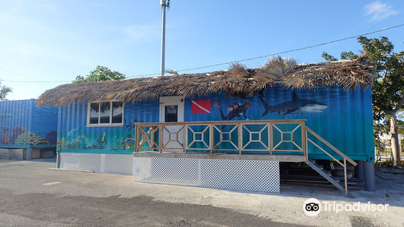 Grand Bahama Scuba