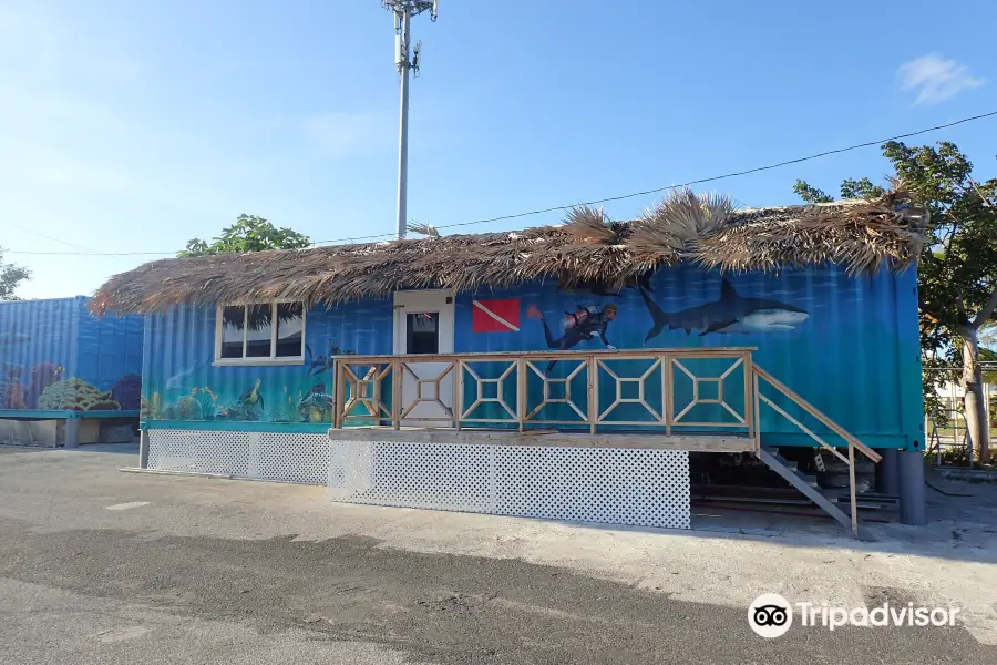 Grand Bahama Scuba