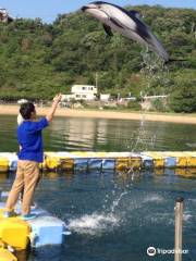 Japan Dolphin Center