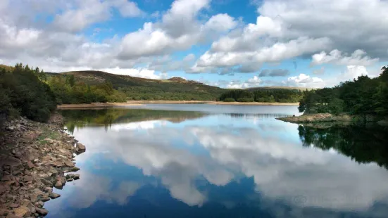 Burrator Reservoir