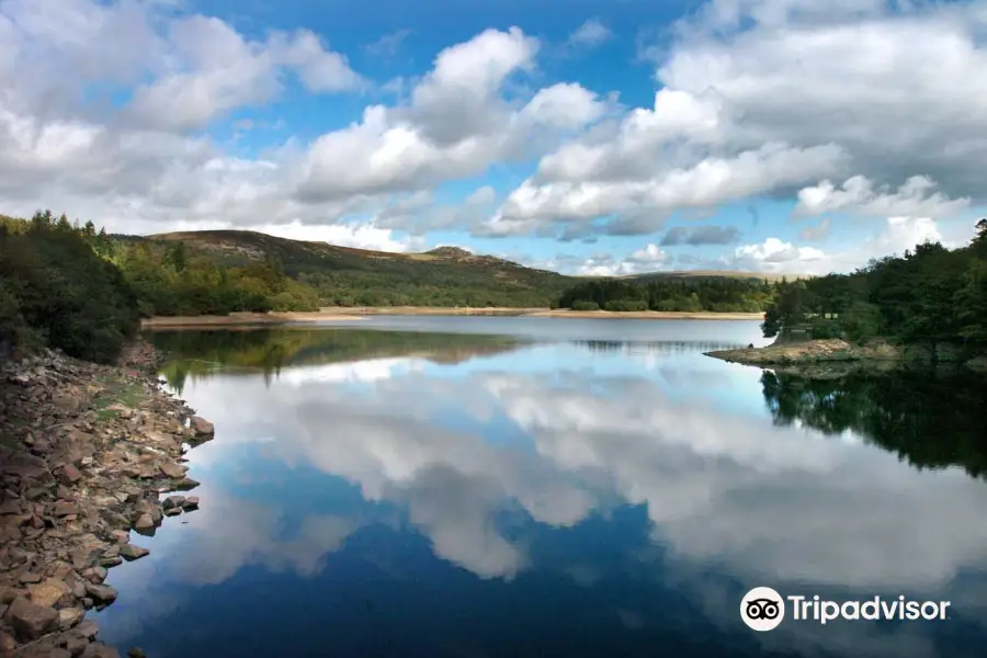 Burrator Reservoir