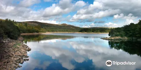 Burrator Reservoir