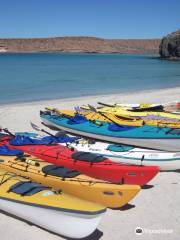 Baja Outdoor Activities （BOA）