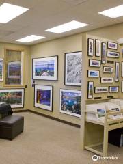 Dirk Yuricich Photography Gallery