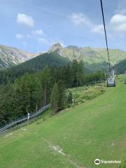 Alpine Coaster