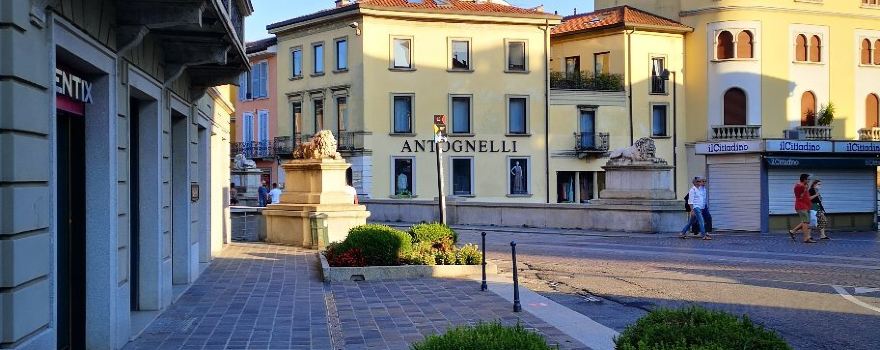 Ponte Dei Leoni