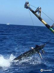 CAVALIER & BLUE MARLIN FISHING CHARTERS