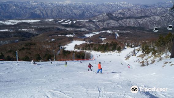 Hunter Mountain Shiobara