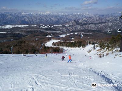 Hunter Mountain Shiobara