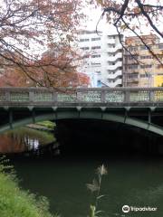 Sakura Bridge
