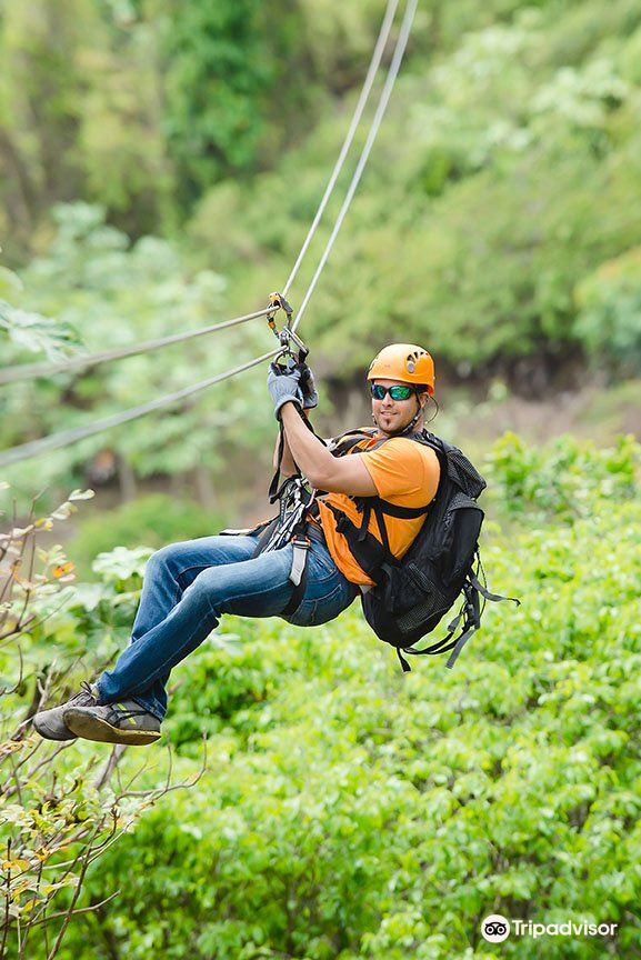 Toro Verde Adventure Park