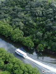 Nakama River Mangrove Cruise