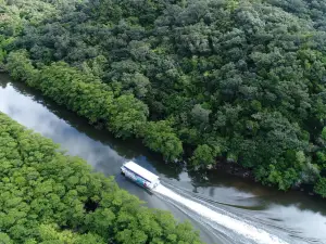 Nakama River Mangrove Cruise