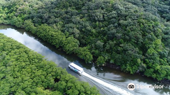 Nakama River Mangrove Cruise