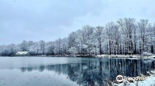 Reinstein Woods Nature Preserve