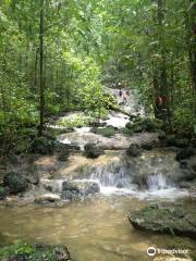 Ruta Mistica Del Bosque Encantado