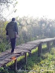 Okhla Bird Sanctuary